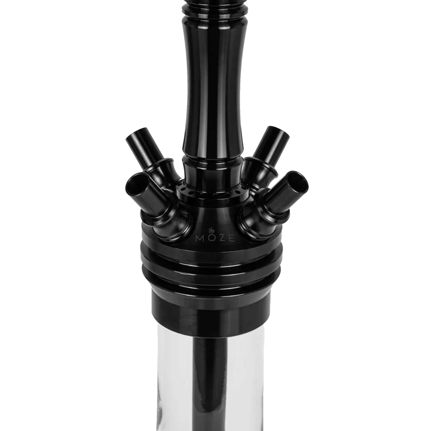 Moze shisha - Varity